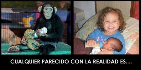 Changa