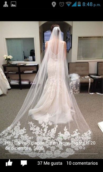 Cuánto gastaron en el vestido?? - 4