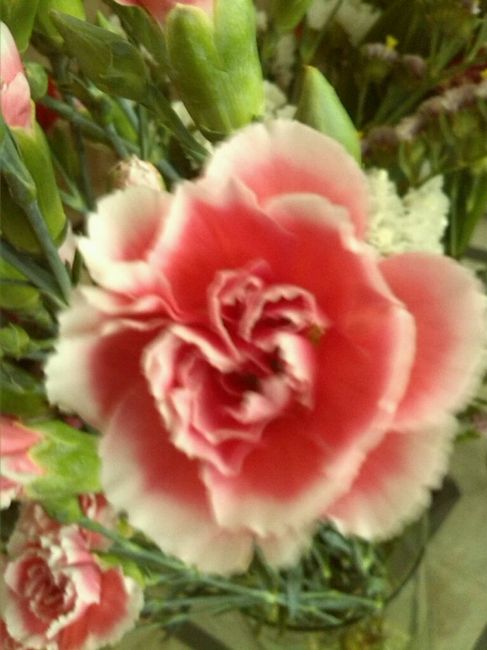 ¿qué ramo me queda para una boda mexicana? - 1