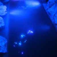 el agua fria