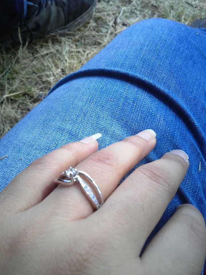 Oficialmente comprometida - 2
