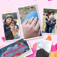 Oficialmente comprometida - 1