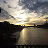 Cinthya