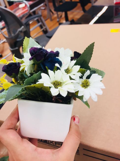 Plantas de recuerdo - 7
