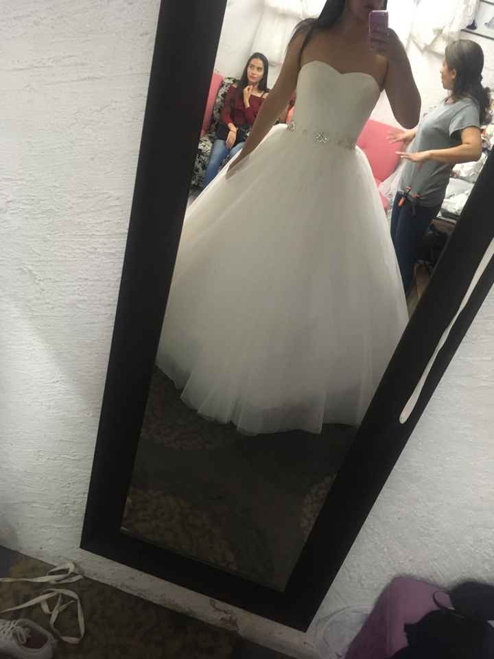 Cual elegirian??? - 2