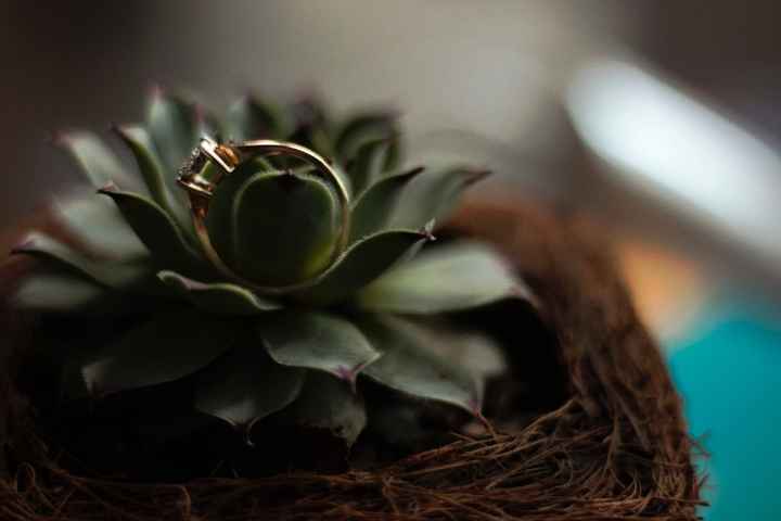 este es el mio, lo amè tanto que le tomé esa foto 