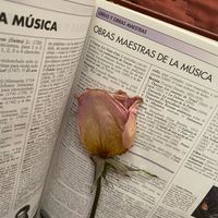 Así conservé mi ramo - 1