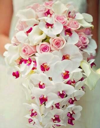 Soy sarahi y esta es mi cartilla de boda . - 3