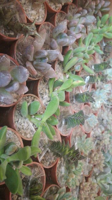 -6 días! y recomendación para recuerdos de boda ❤️ - 2