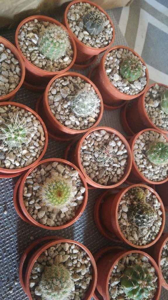 -6 días! y recomendación para recuerdos de boda ❤️ - 1