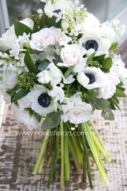 Y MAS ANEMONAS!!