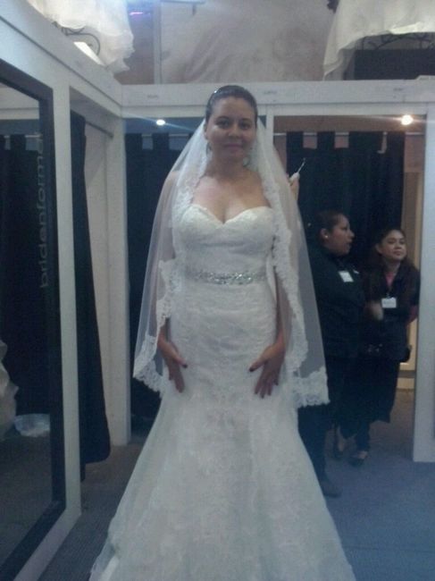Ya tengo mi vestido.... - 1