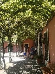 Parras, ¿destino lunamielero y para boda? 7