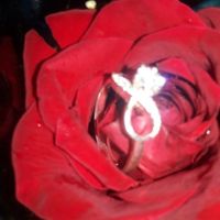 Mi Pedida De Mano - 1