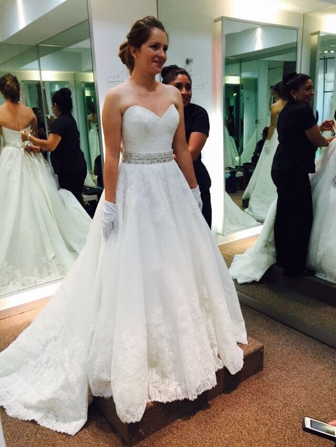 Eligiendo el velo perfecto - 1