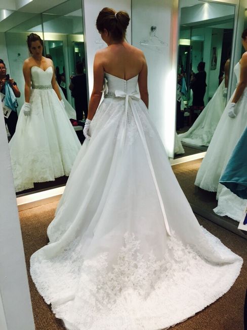 Eligiendo el velo perfecto - 2