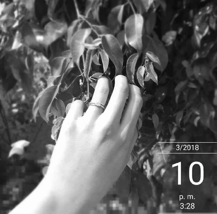 ¿como es su anillo de compromiso? - 1