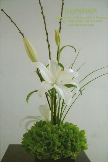 flores naturales
