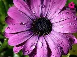 Los colores de tu boda - 3