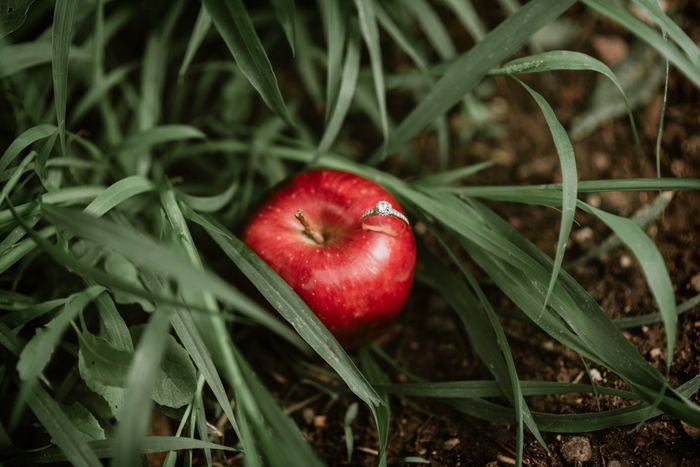 Nuestra sesión pre-boda 🍎👑 - 3