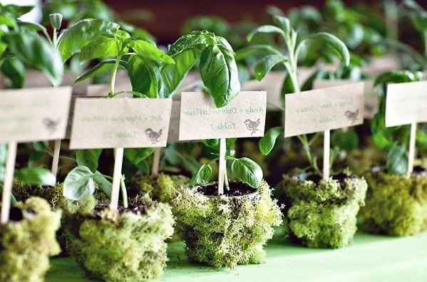 Recordatorios ecológicos para los invitados.