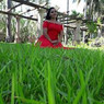 Janeth