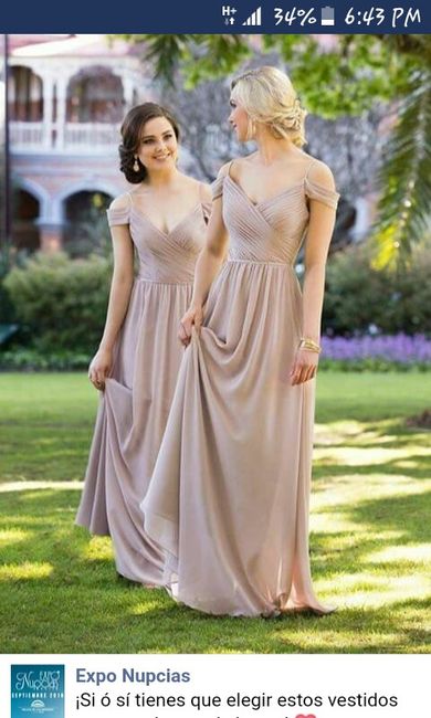 Vestidos para Damas de Honor - 1