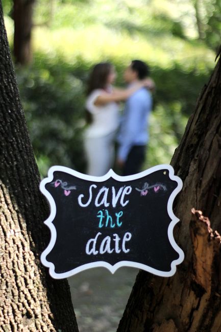 mi save the date 4