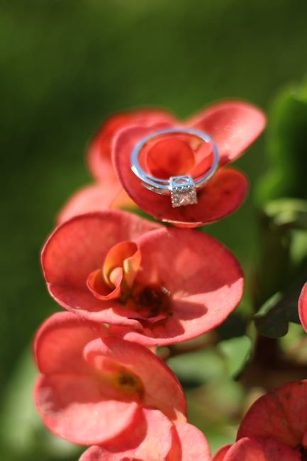 Mi anillo de compromiso Getsemany 1