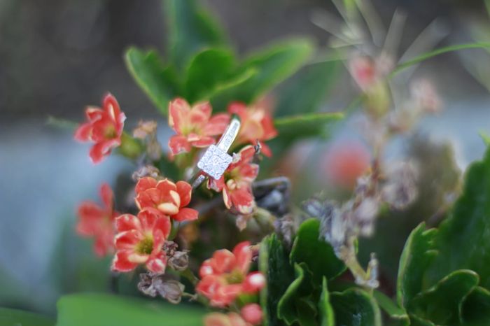 Mi anillo de compromiso Getsemany 2