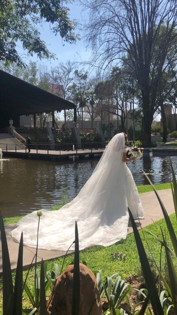 El velo! Aun no se que elegir. ¿me ayudan? 3