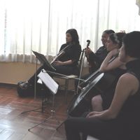 cuarteto de violines