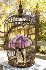 shabby