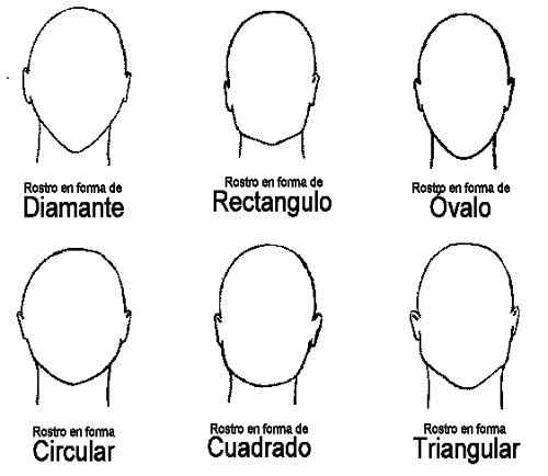tipos de cara
