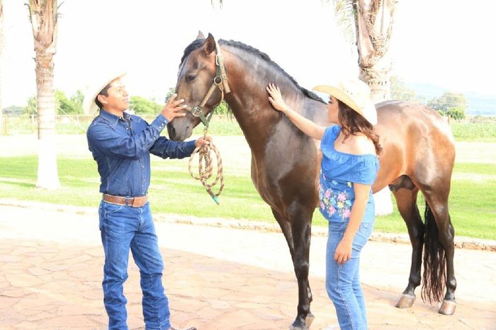 Sesión save the date - 11