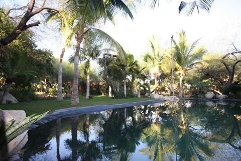 Con ustedes .... mi jardinnnn (hacienda) - 5