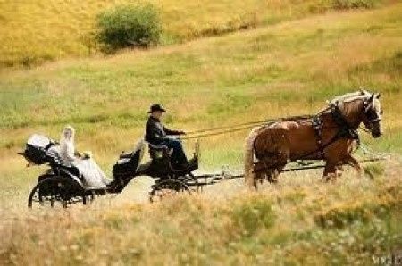 BODA VAQUERA