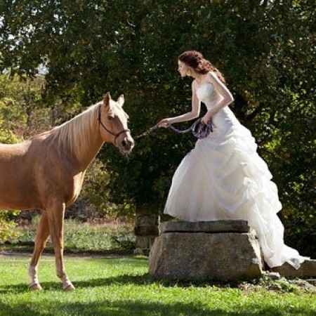 BODA VAQUERA