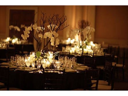 Yazmin, me presentó... - 1