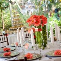 boda coral