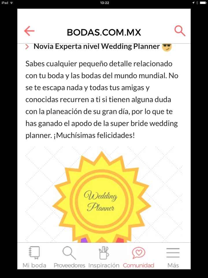 Mi nivel de bodas es wedding planner - 1