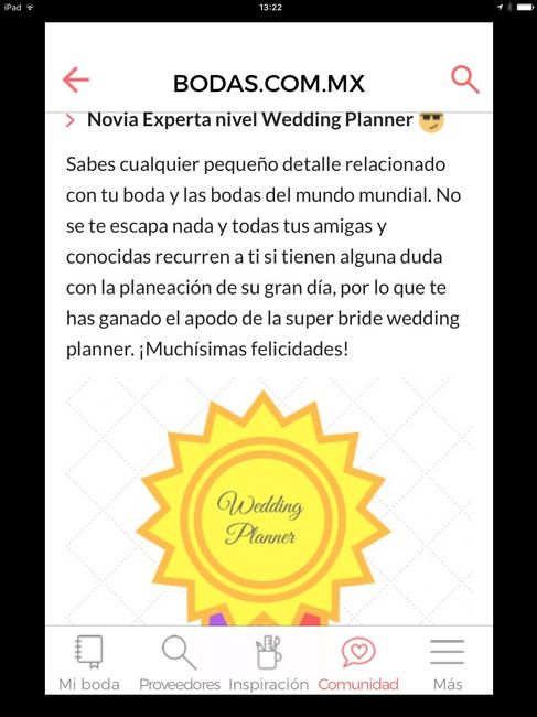 Mi nivel de bodas es wedding planner - 1