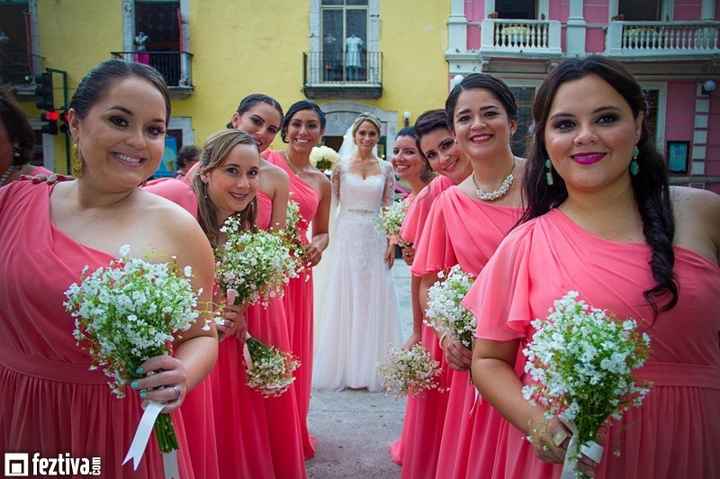 Damas rosa mexicano