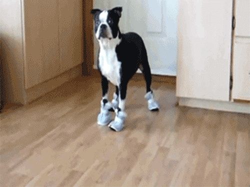 5. practicar con los zapatos antes si son nuevos: