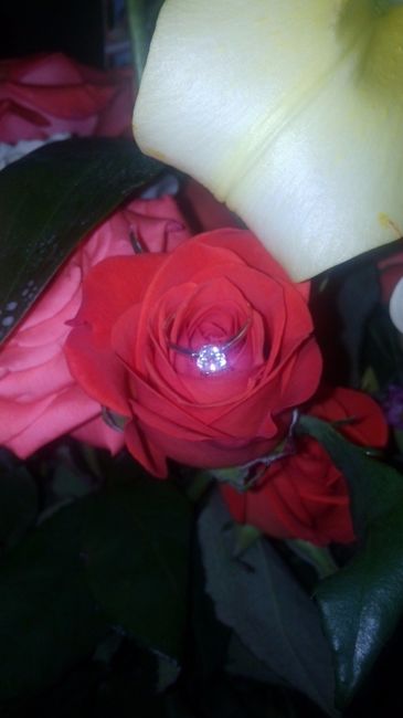 mi hermoso!!!!