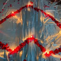 propuesta de matrimonio 💍❤️ - 1