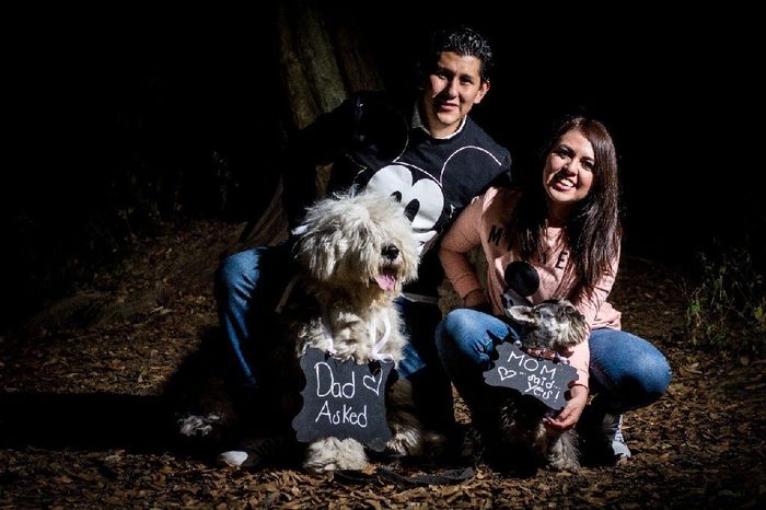 Mascotas o no (perrhijos)?, :( - 2