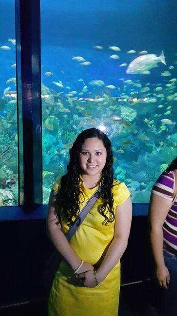 Yo me pido... (9 de febrero) - 1