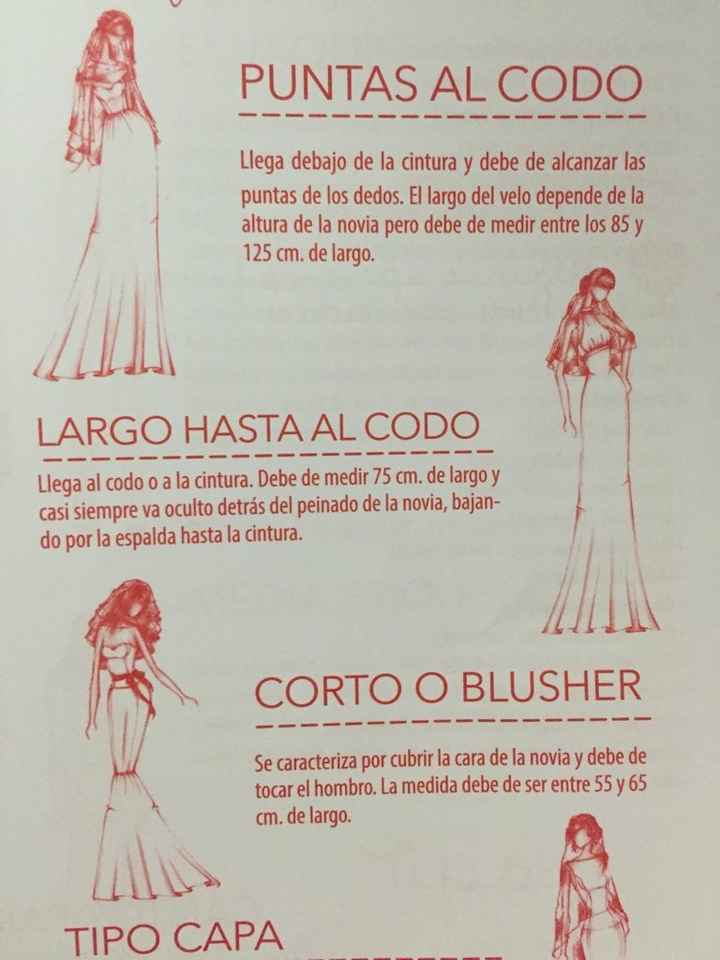 Velo!! - 3
