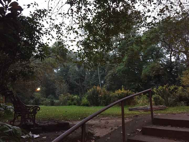 Gracias por todo ... - 4